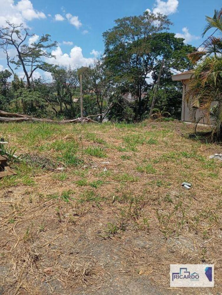 Terreno, 10000 m² - Foto 6