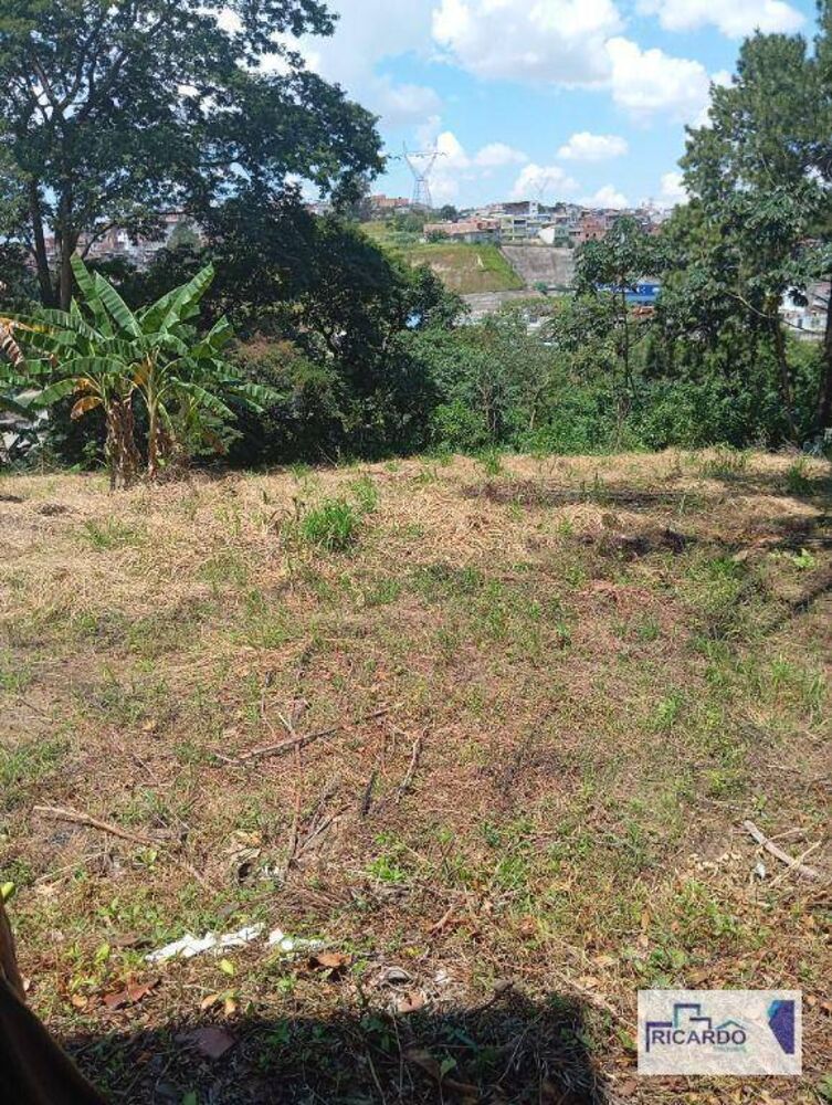 Terreno, 10000 m² - Foto 8