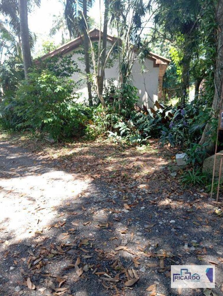 Terreno, 10000 m² - Foto 5