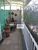 Casa, 3 quartos, 400 m² - Foto 1