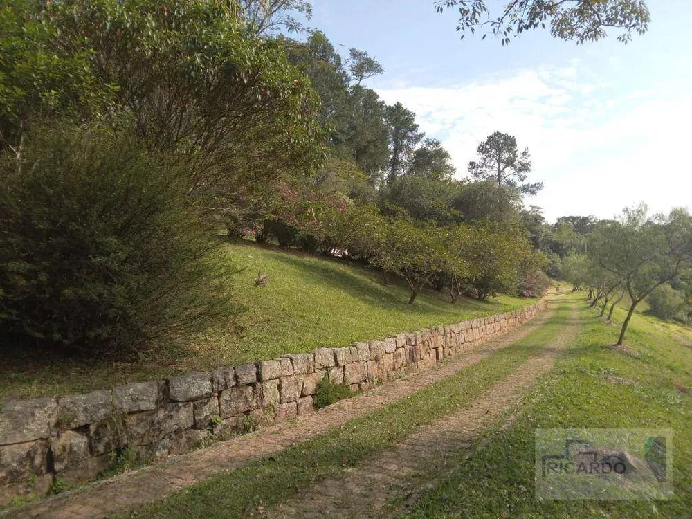 Sítio, 10 quartos, 10 hectares - Foto 7