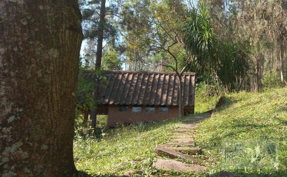 Sítio, 10 quartos, 10 hectares - Foto 2
