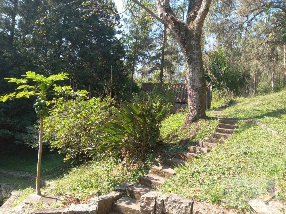 Sítio, 10 quartos, 10 hectares - Foto 3