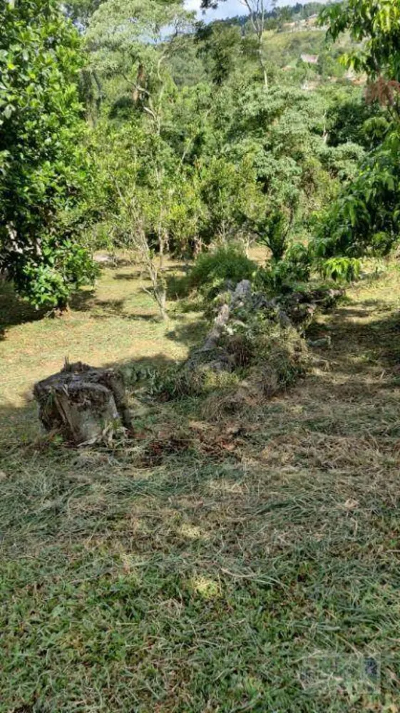 Chácara, 1 quarto, 900 m² - Foto 2