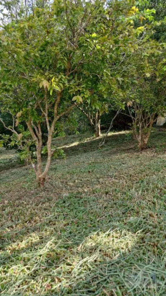 Chácara, 1 quarto, 900 m² - Foto 3