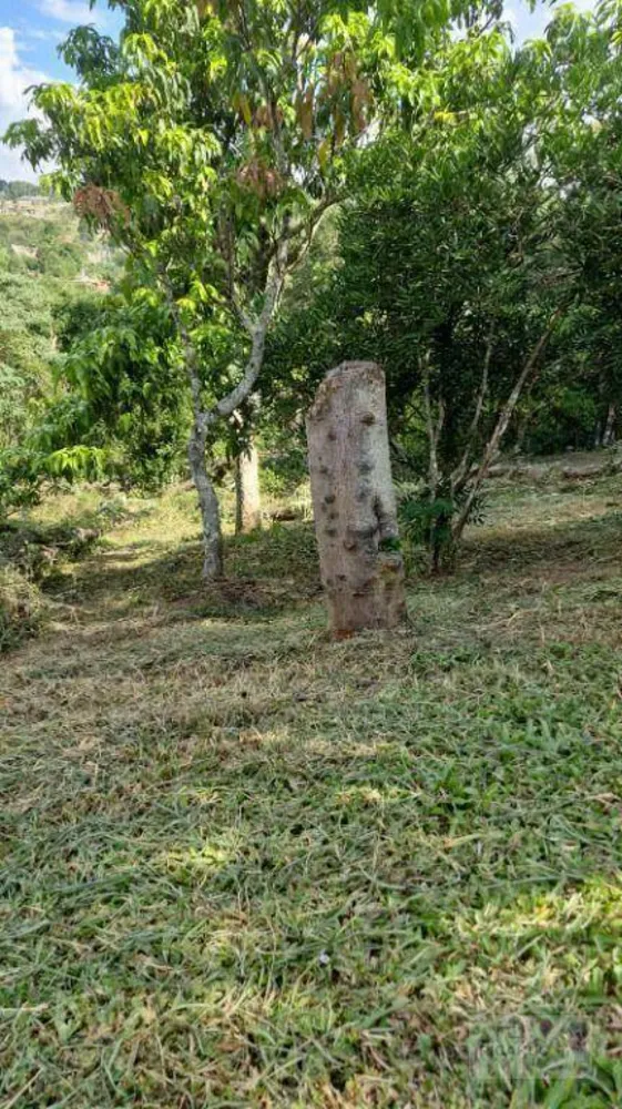 Chácara, 1 quarto, 900 m² - Foto 1