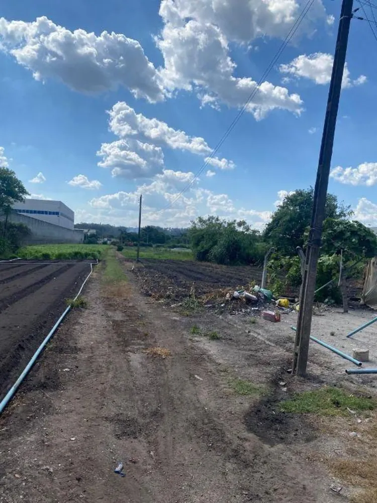 Terreno, 1 hectares - Foto 4