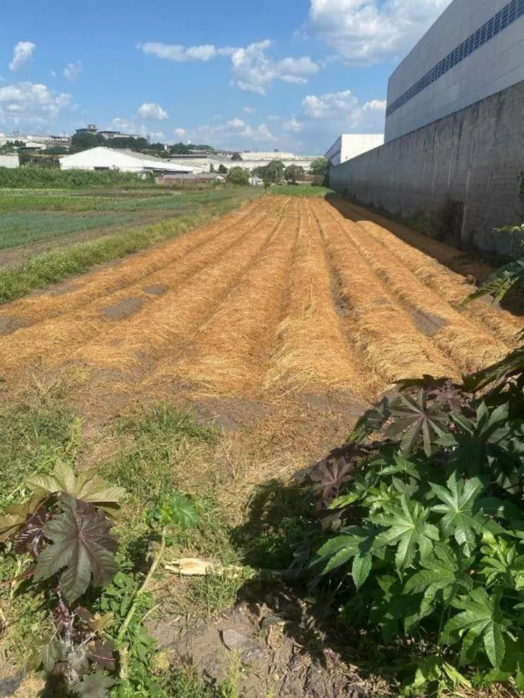Terreno, 1 hectares - Foto 3
