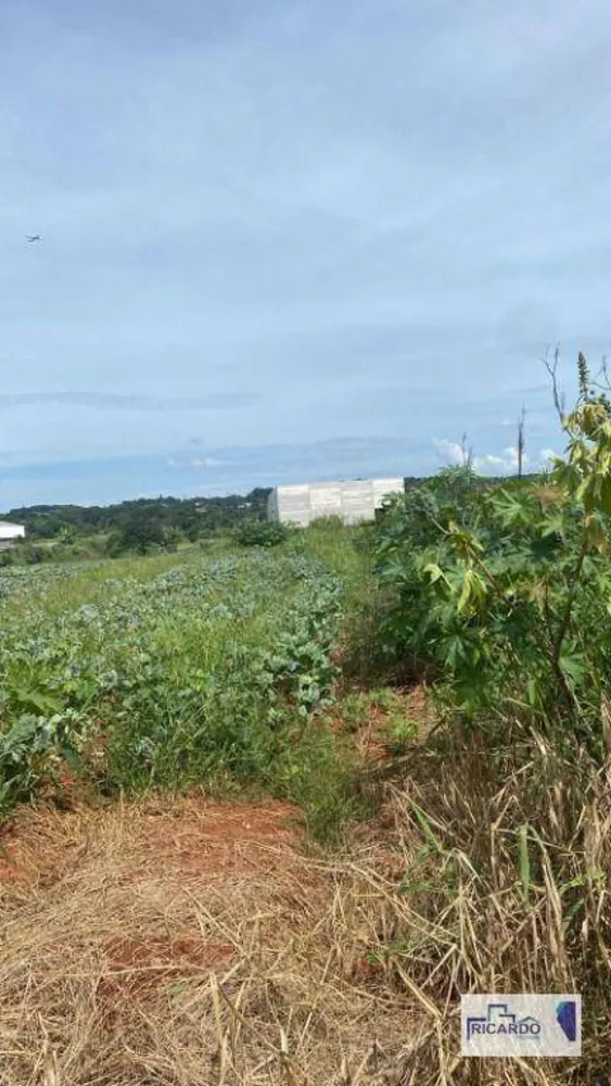 Terreno, 2 hectares - Foto 3