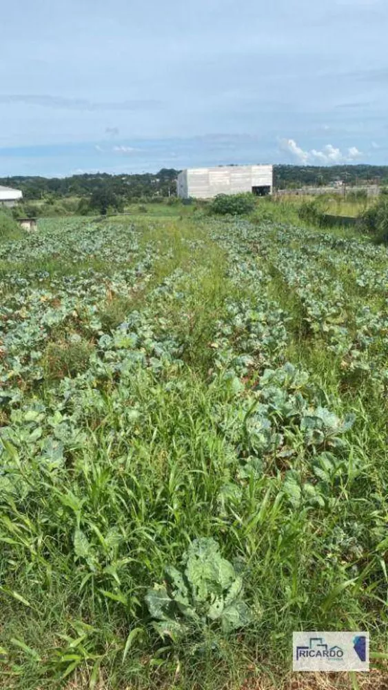 Terreno, 2 hectares - Foto 1