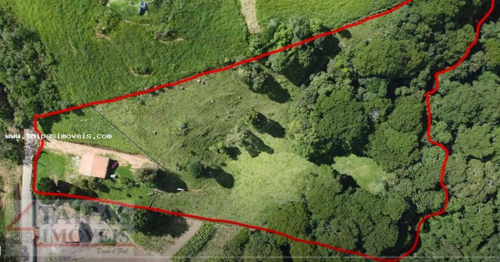 Sítio, 3 quartos, 2 hectares - Foto 2