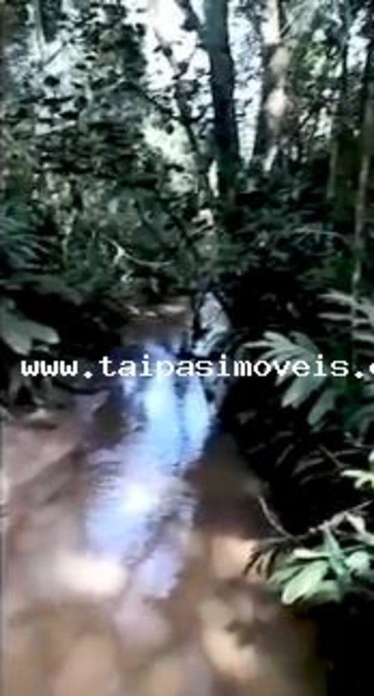 Sítio, 3 quartos, 2 hectares - Foto 4