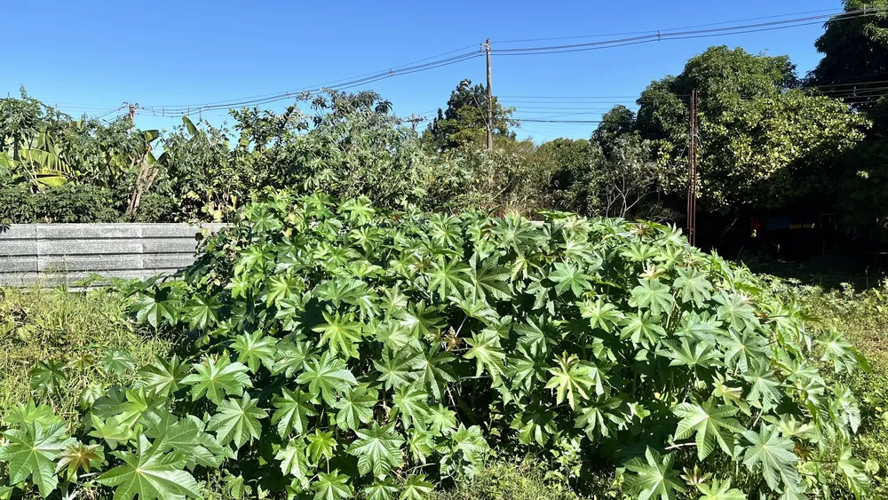 Terreno, 360 m² - Foto 3