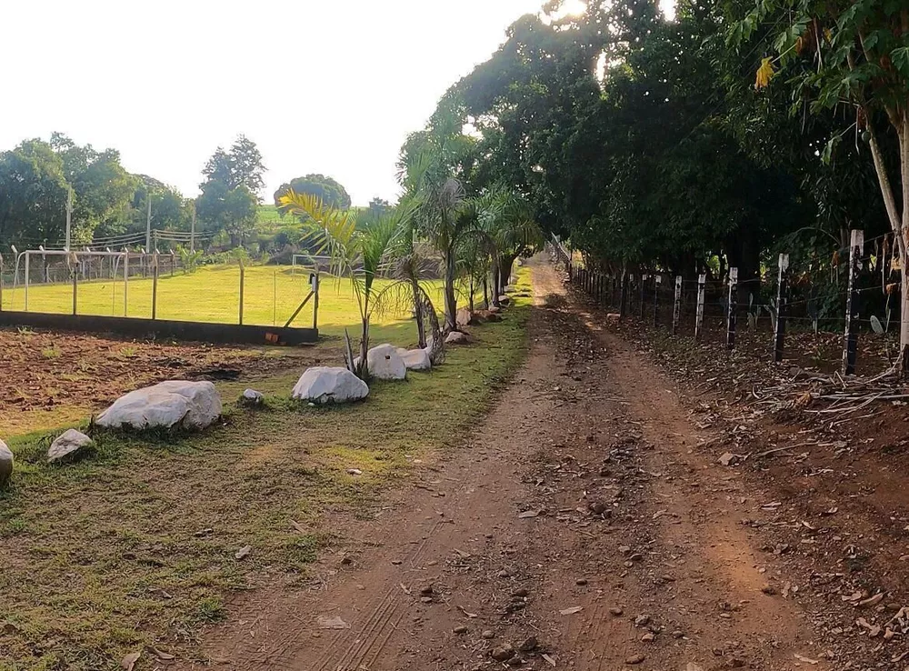 Chácara, 2 quartos, 1 hectares - Foto 2