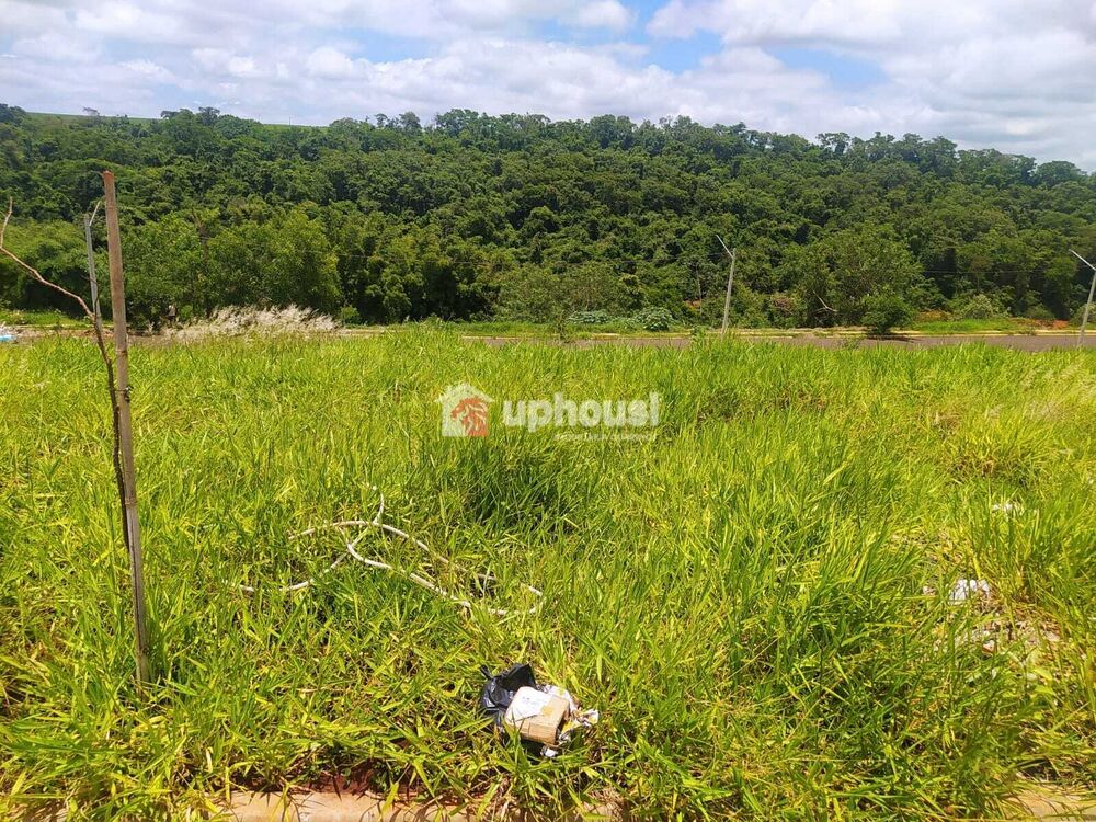 Terreno, 250 m² - Foto 6