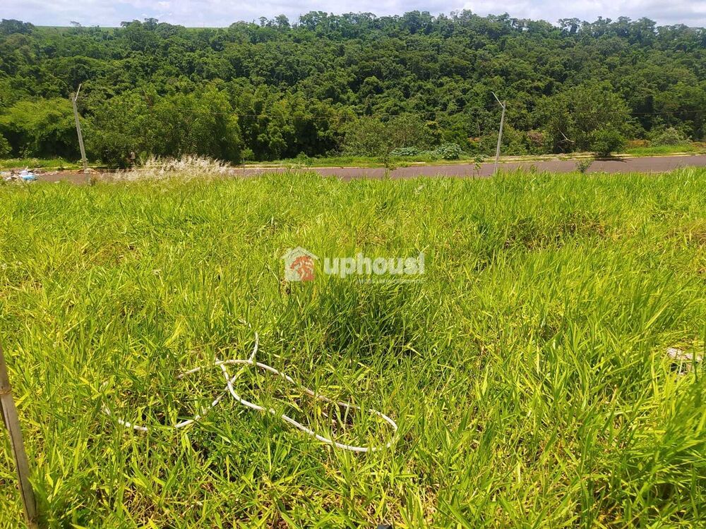 Terreno, 250 m² - Foto 7