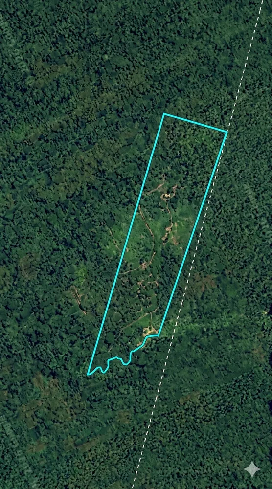 Fazenda, 346 hectares - Foto 2