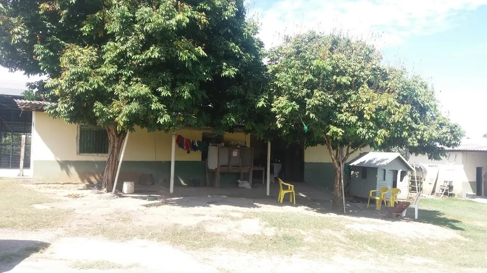 Terreno, 8 hectares - Foto 7