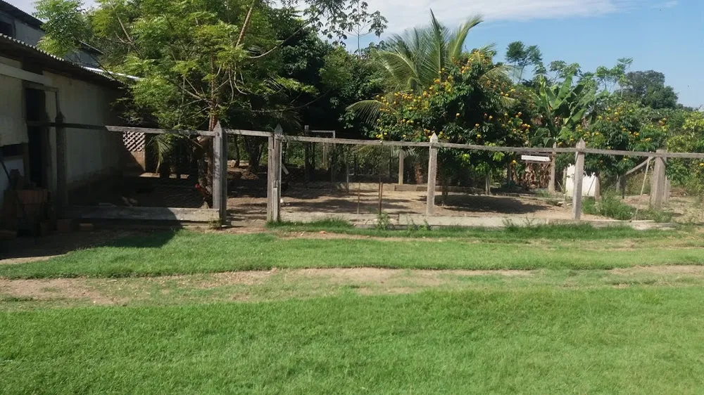 Terreno, 8 hectares - Foto 8