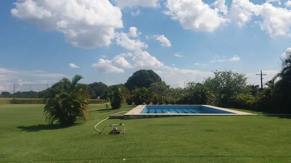 Terreno, 8 hectares - Foto 3