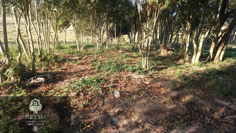 Chácara - Foto 11