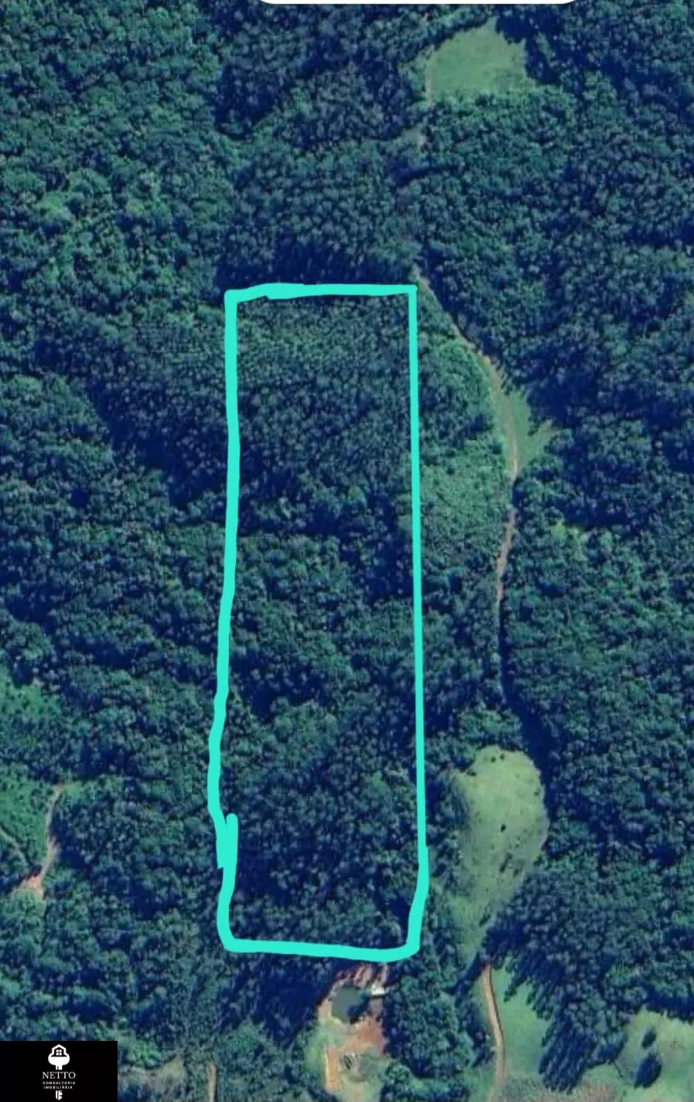 Terreno, 5 hectares - Foto 3