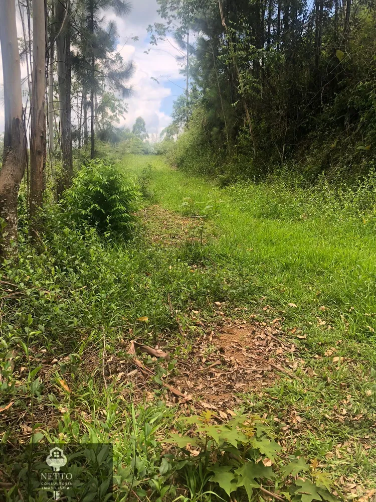 Terreno, 5 hectares - Foto 8