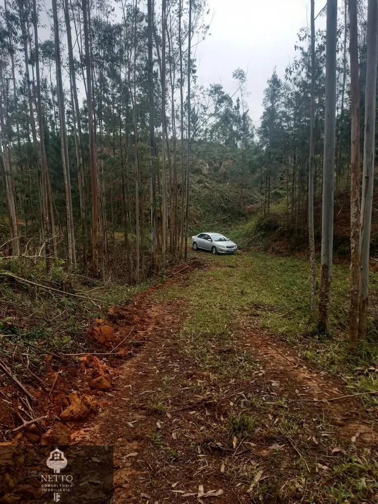 Terreno, 5 hectares - Foto 6