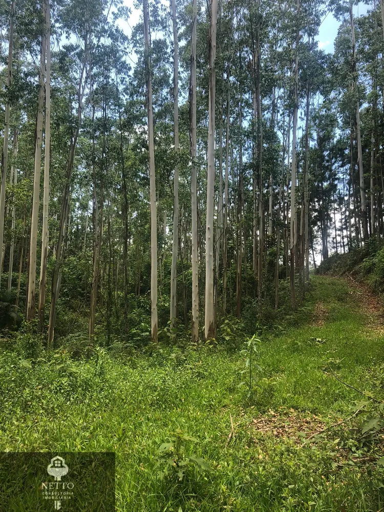 Terreno, 5 hectares - Foto 12