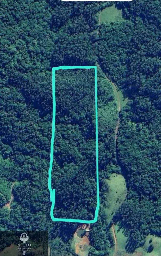 Terreno, 5 hectares - Foto 6