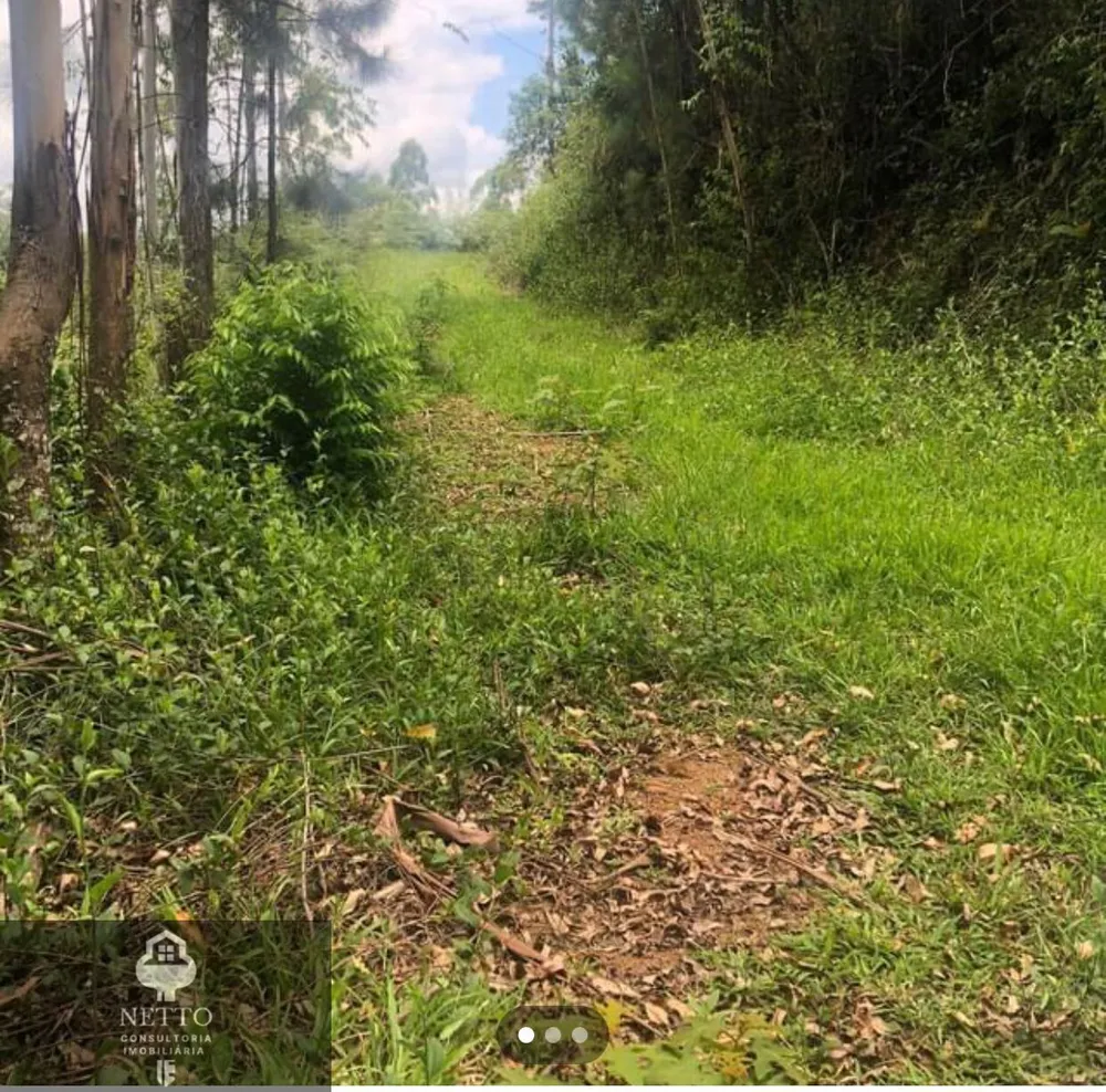Terreno, 5 hectares - Foto 7