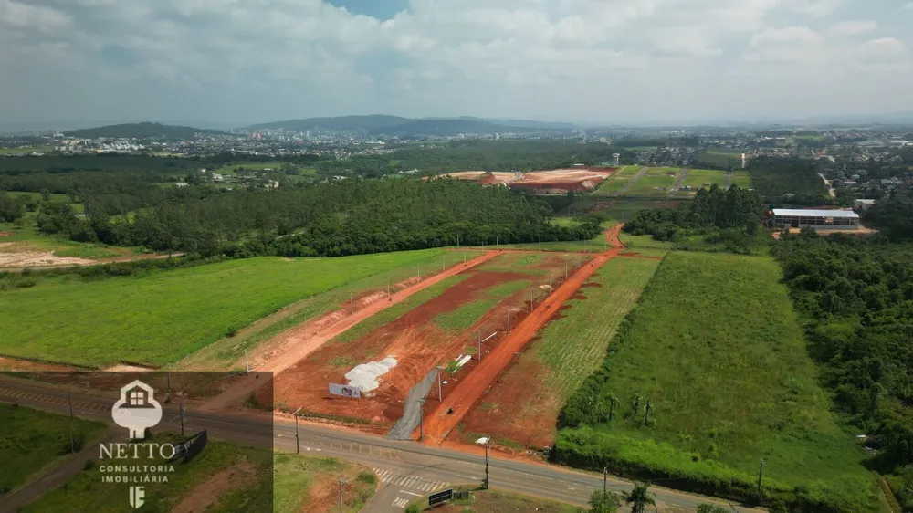 Terreno - Foto 6