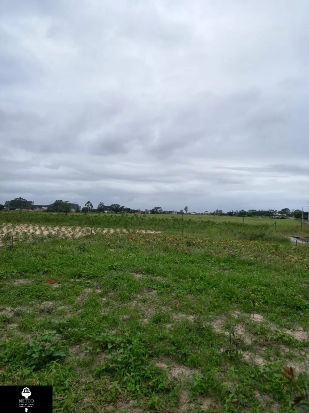 Chácara, 5 hectares - Foto 1