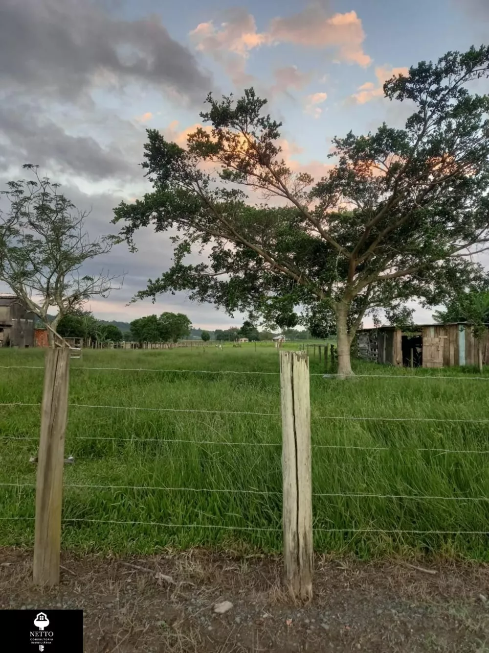 Chácara, 5 hectares - Foto 3