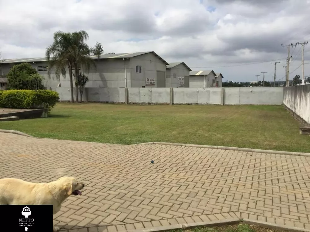 Chácara, 3 quartos, 5000 m² - Foto 2