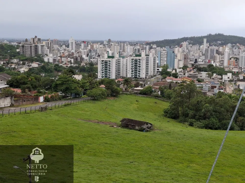 Apartamento, 3 quartos - Foto 12