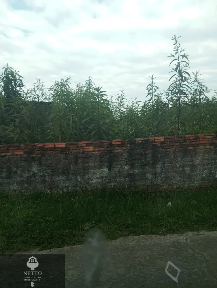 Terreno, 307 m² - Foto 5