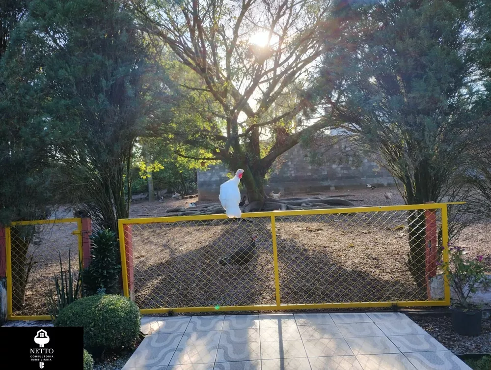 Chácara, 5600 m² - Foto 2