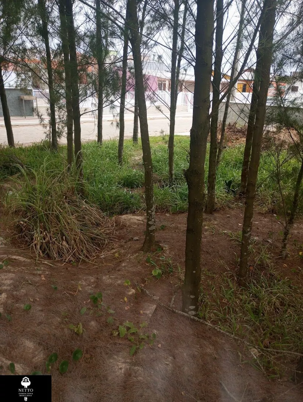 Terreno, 288 m² - Foto 1