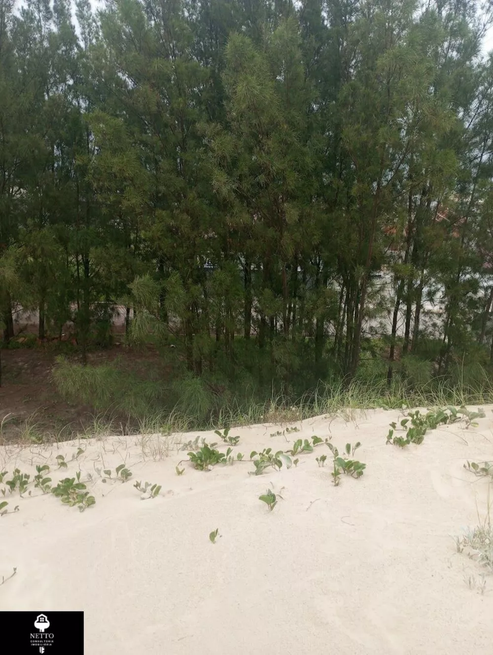 Terreno, 288 m² - Foto 2