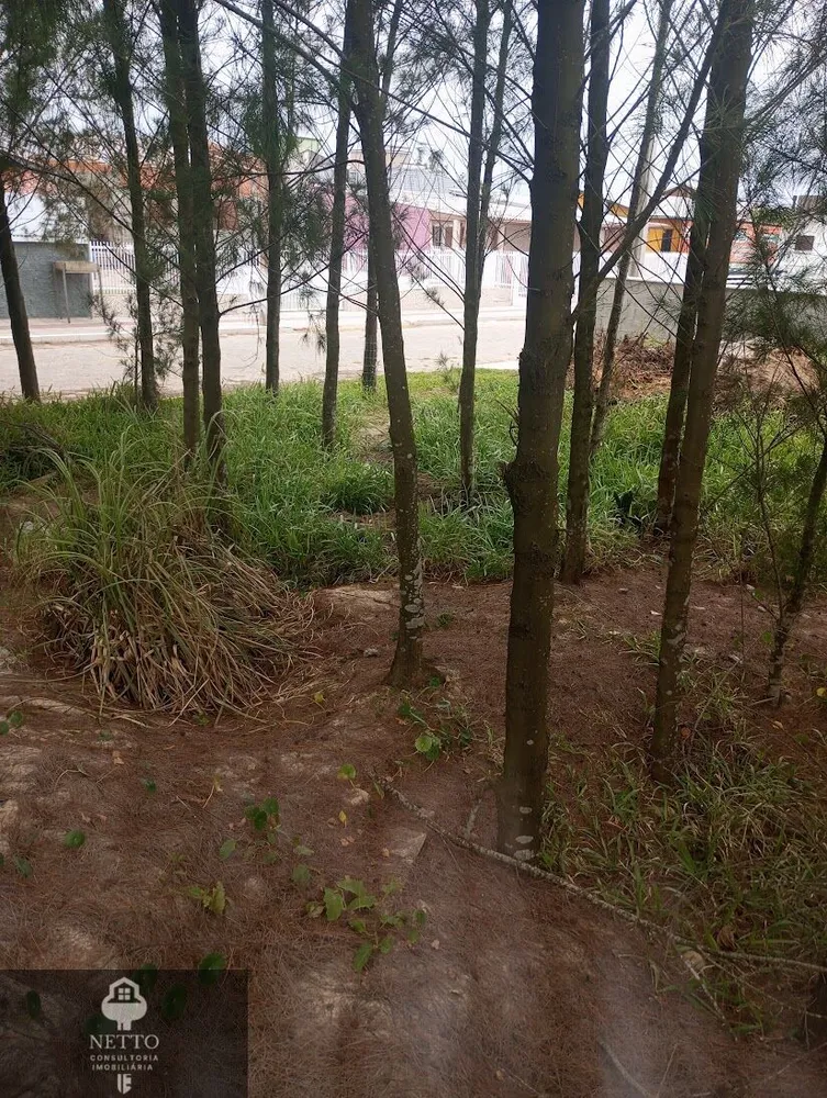 Terreno, 288 m² - Foto 12