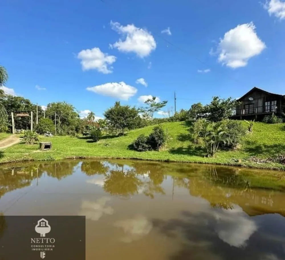 Chácara, 4 hectares - Foto 9