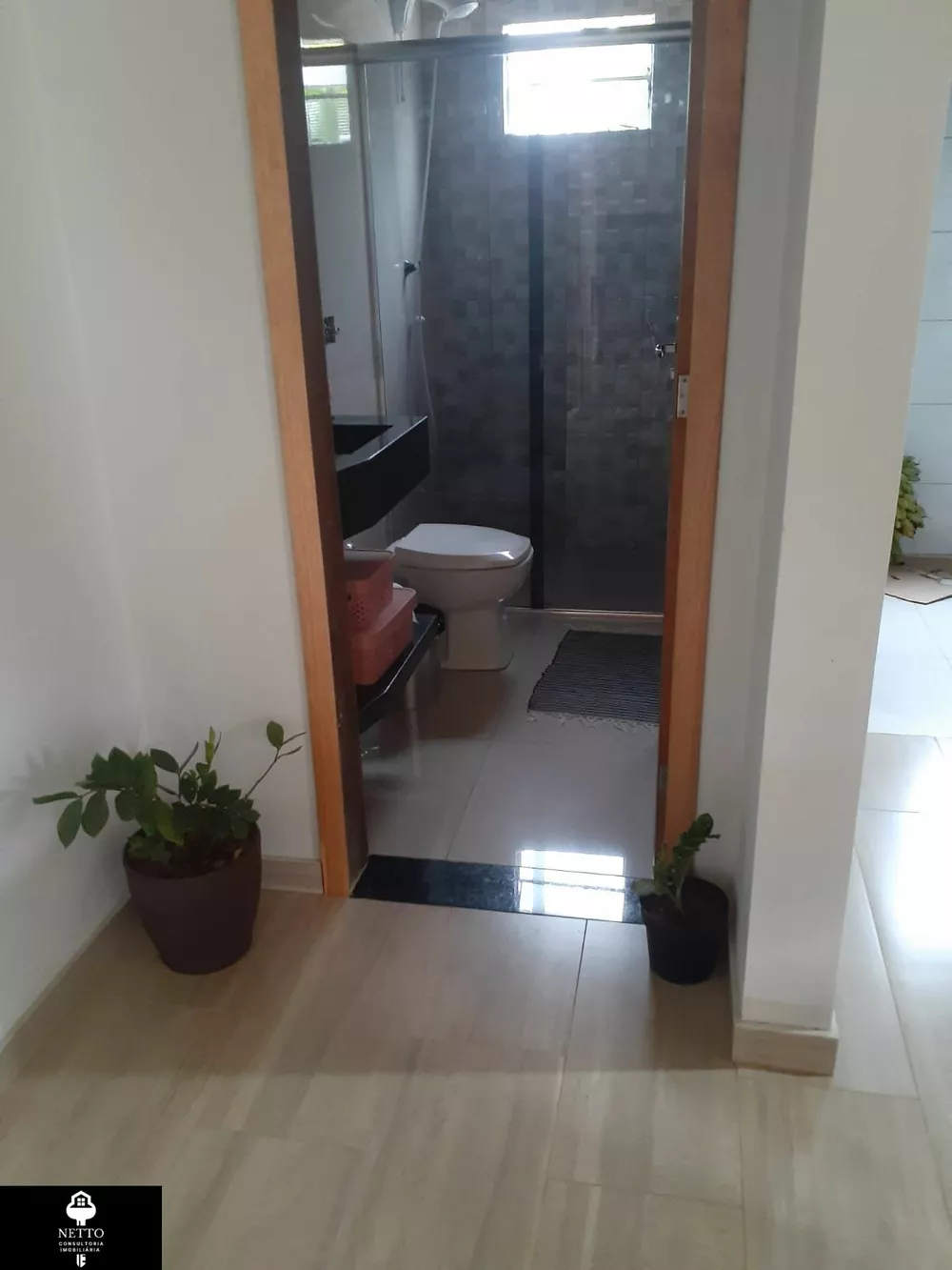 Chácara, 4 hectares - Foto 4