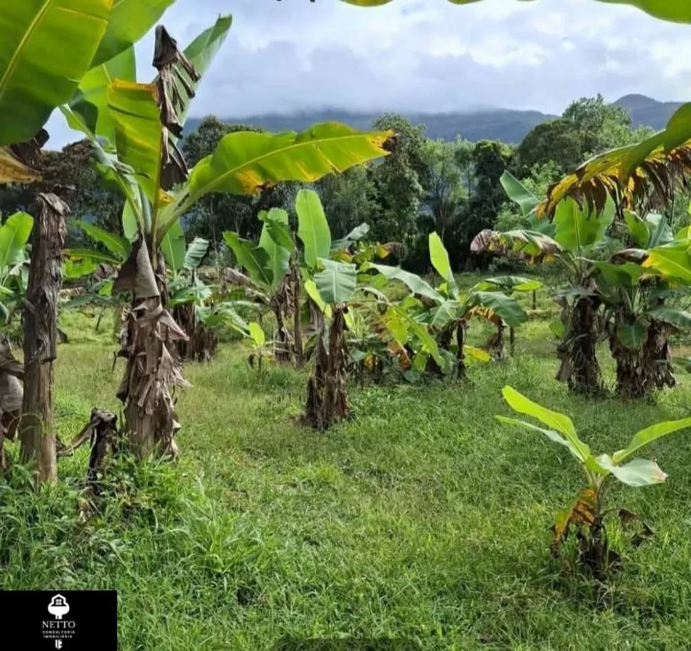 Chácara, 4 hectares - Foto 3