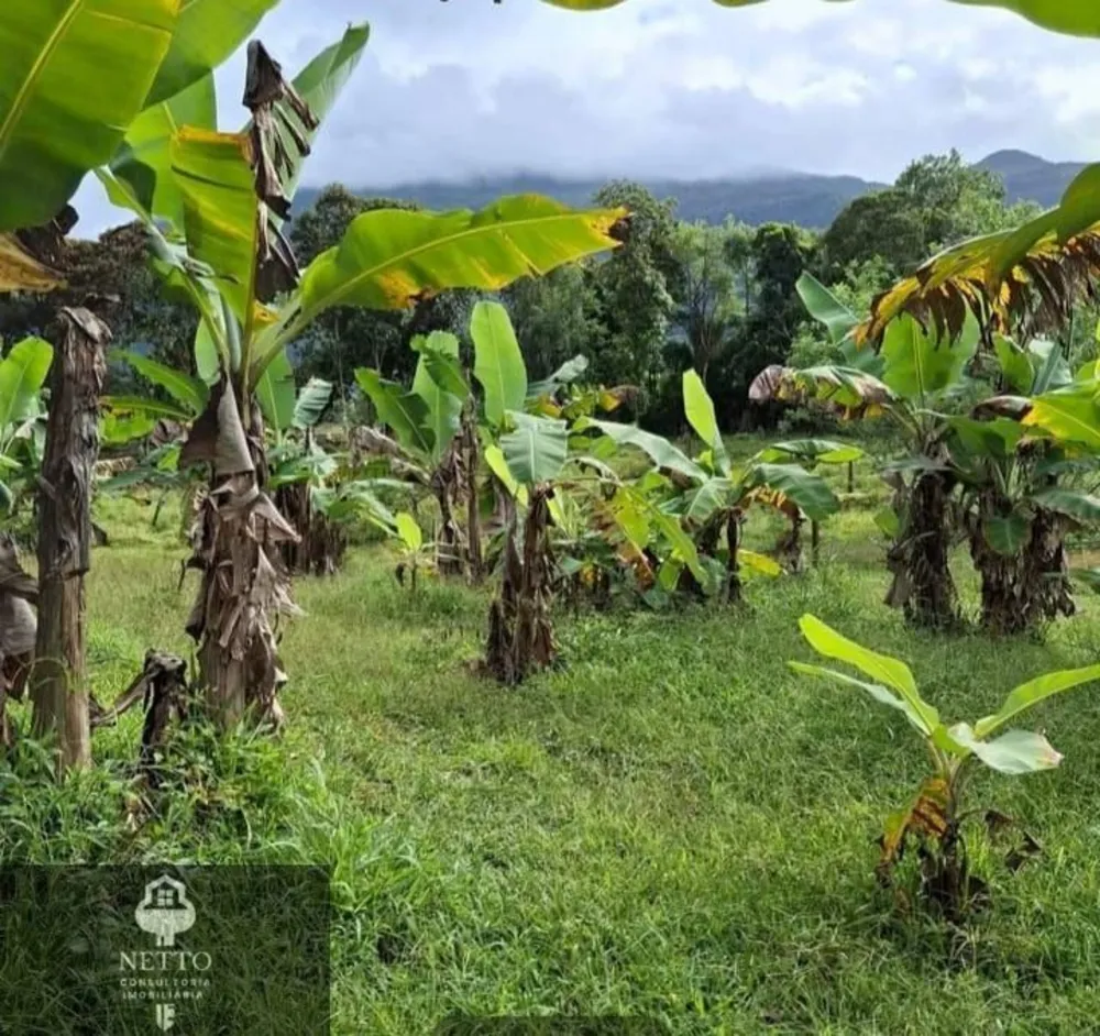 Chácara, 4 hectares - Foto 10