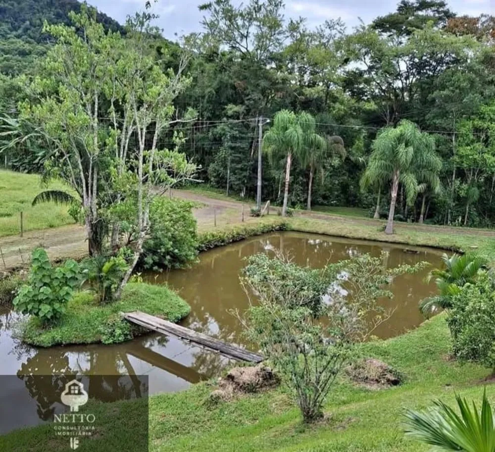 Chácara, 4 hectares - Foto 11
