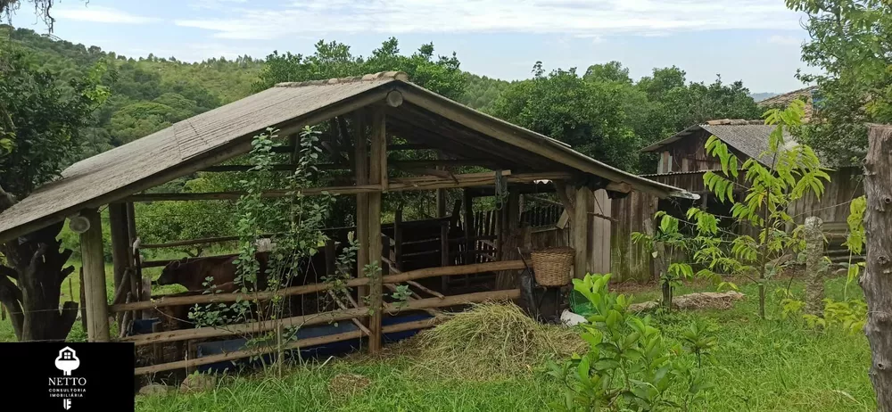 Sítio, 3 quartos, 11 hectares - Foto 2