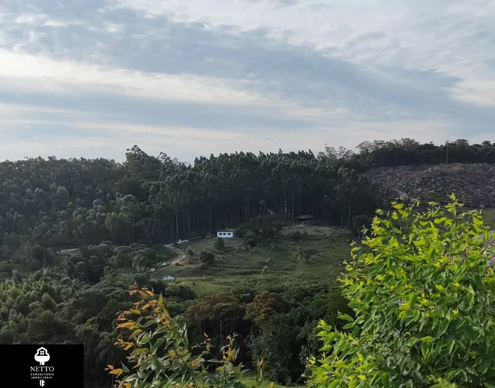 Sítio, 3 quartos, 11 hectares - Foto 4