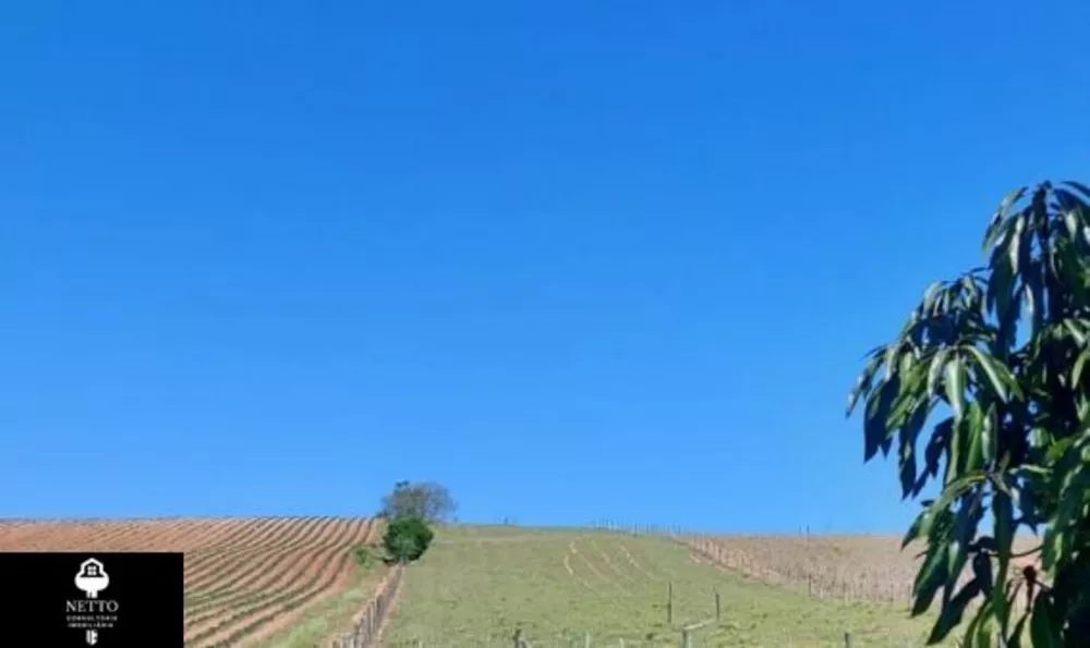 Sítio, 3 hectares - Foto 1
