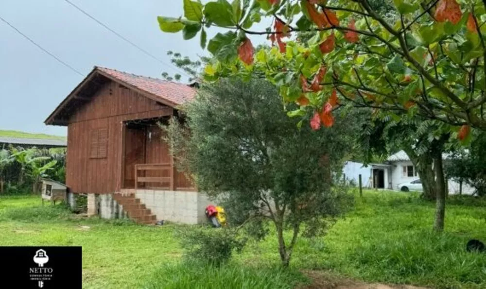 Sítio, 3 hectares - Foto 3